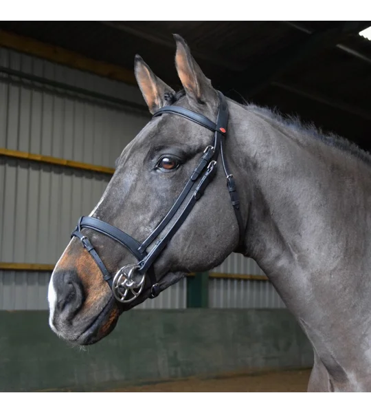 Whitaker BR056 Ready to Ride Snaffle Bridle Havana