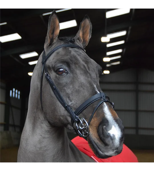 Whitaker BR056 Ready to Ride Snaffle Bridle Havana