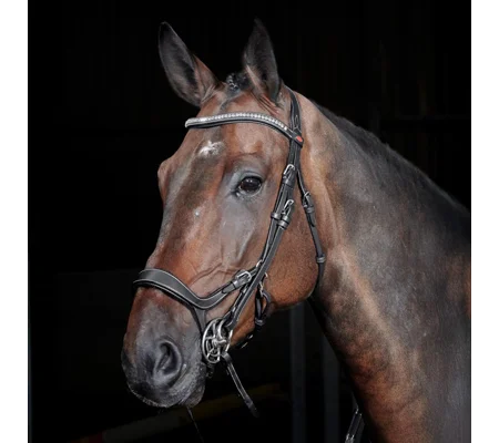 Whitaker BR070 Chicago Anatomic Breathable Bridle with Reins Light Havana