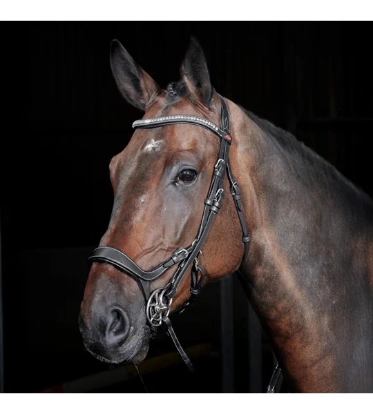 Whitaker BR070 Chicago Anatomic Breathable Bridle with Reins Light Havana