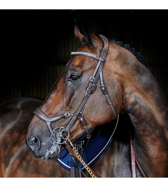 Whitaker BR070 Chicago Anatomic Breathable Bridle with Reins Light Havana