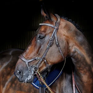 BRIDLES