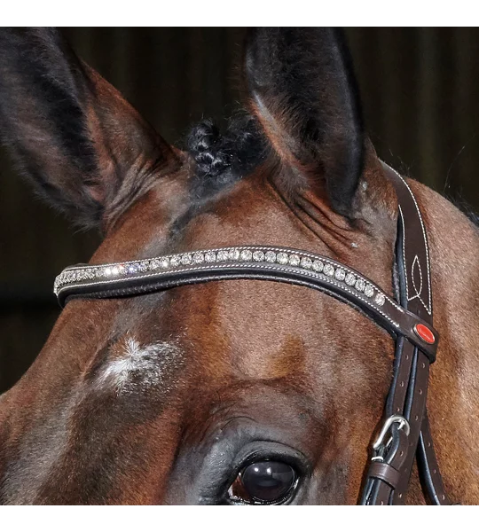 Whitaker BR070 Chicago Anatomic Breathable Bridle with Reins Light Havana