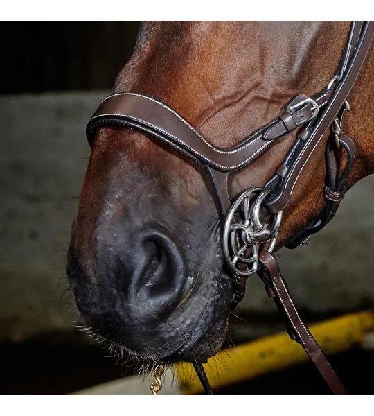 Whitaker BR070 Chicago Anatomic Breathable Bridle with Reins Light Havana