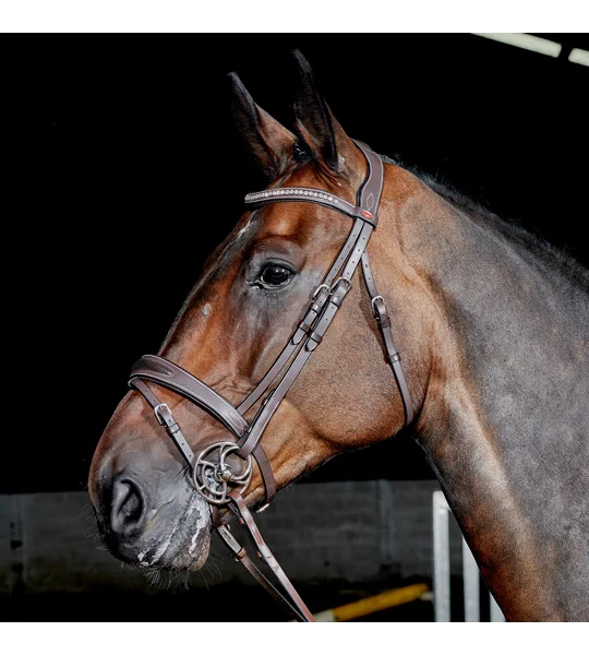 Whitaker BR071 Chicago Bling Bridle Light Havana