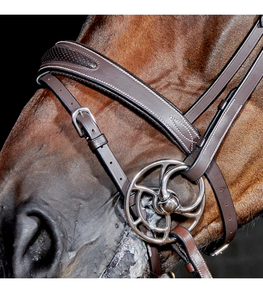 Whitaker BR071 Chicago Bling Bridle Light Havana