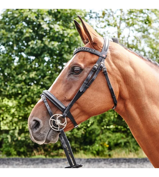 Whitaker BR073 Lynton Flash Bridle with 2 Browbands Black