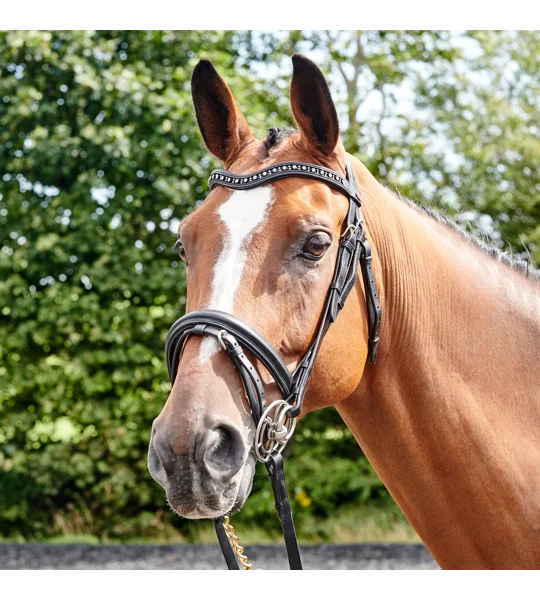 Whitaker BR073 Lynton Flash Bridle with 2 Browbands Havana