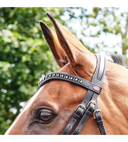 Whitaker BR073 Lynton Flash Bridle with 2 Browbands Black