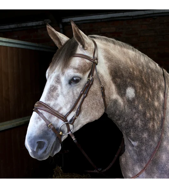 Whitaker BR100 Venice Flash Bridle with Reins Havana