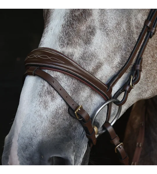 Whitaker BR100 Venice Flash Bridle with Reins Black