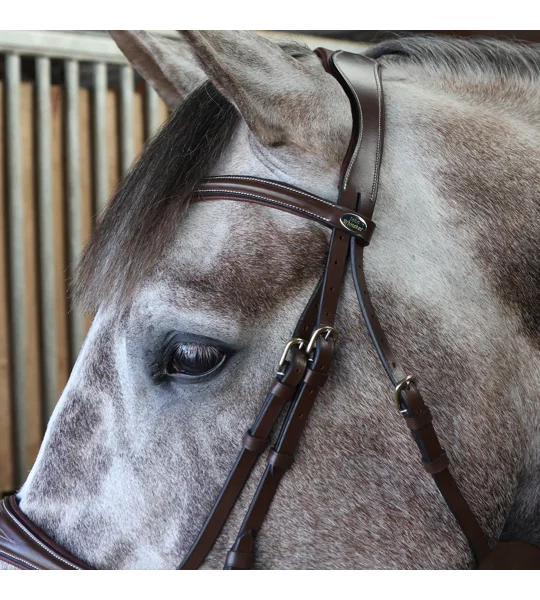 Whitaker BR100 Venice Flash Bridle with Reins Black