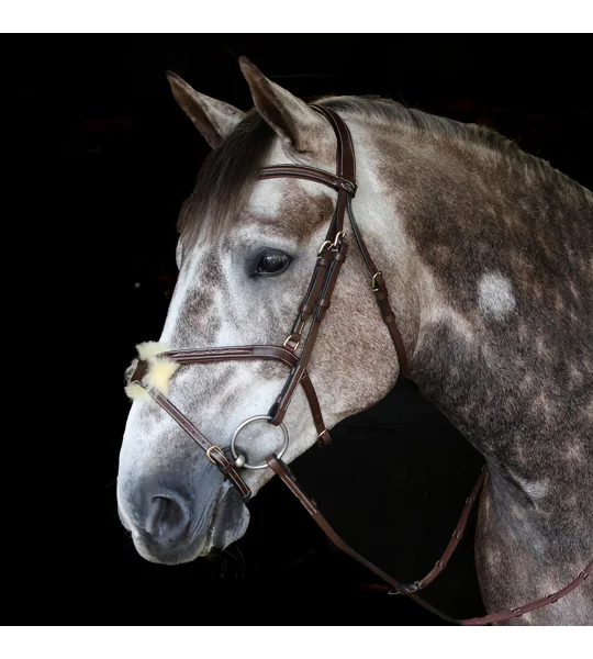 Whitaker BR101 Vienna Mexican Bridle with Reins Havana