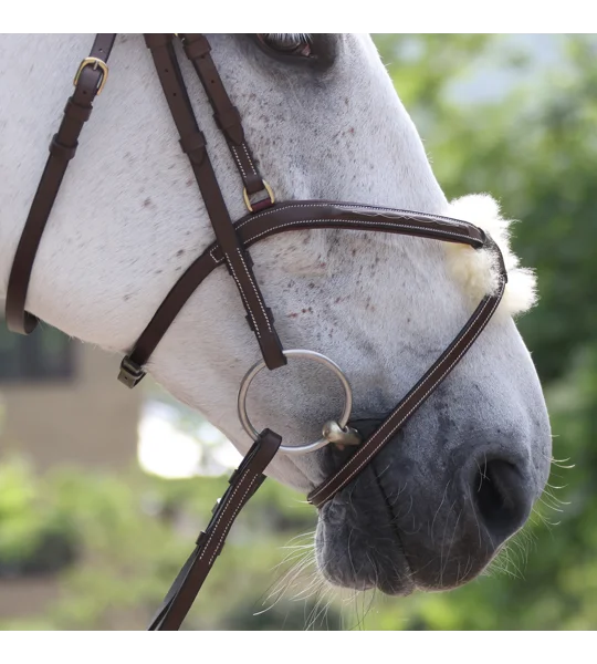 Whitaker BR101 Vienna Mexican Bridle with Reins Havana