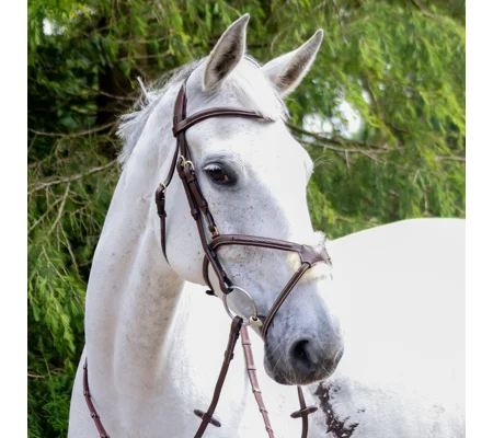 Whitaker BR101 Vienna Mexican Bridle with Reins Havana