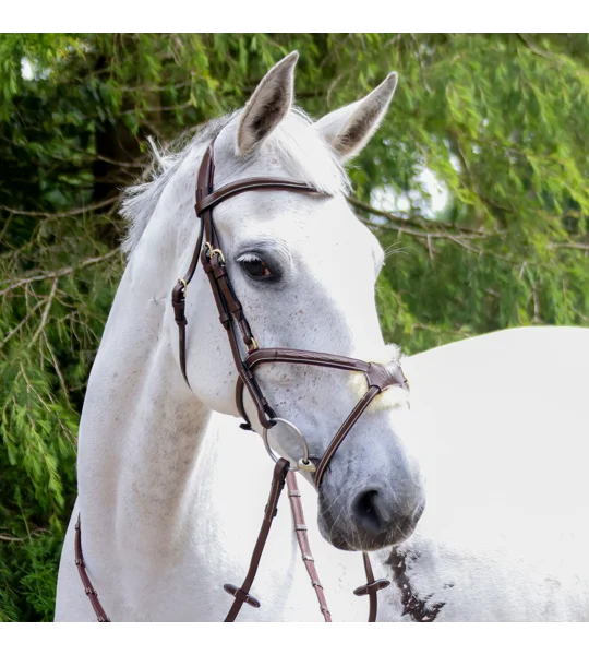 Whitaker BR101 Vienna Mexican Bridle with Reins Havana