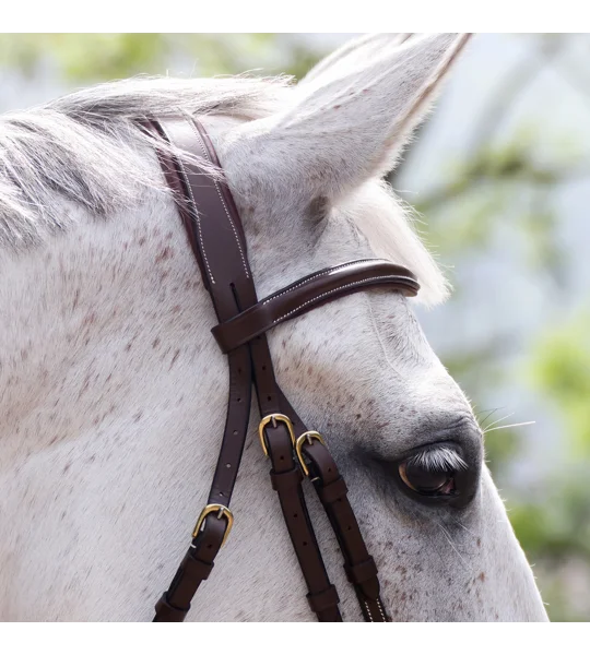 Whitaker BR101 Vienna Mexican Bridle with Reins Havana