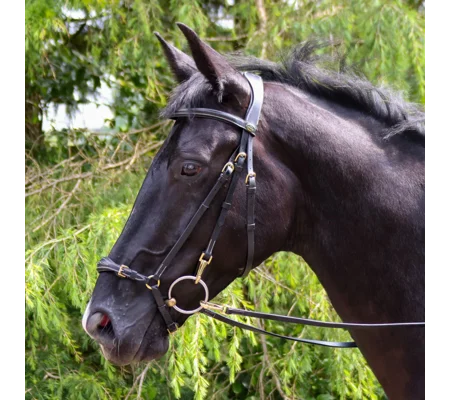 Whitaker BR102 Rome Drop Nose Bridle with Reins Black