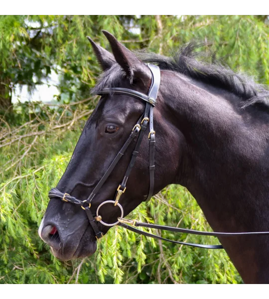 Whitaker BR102 Rome Drop Nose Bridle with Reins Black