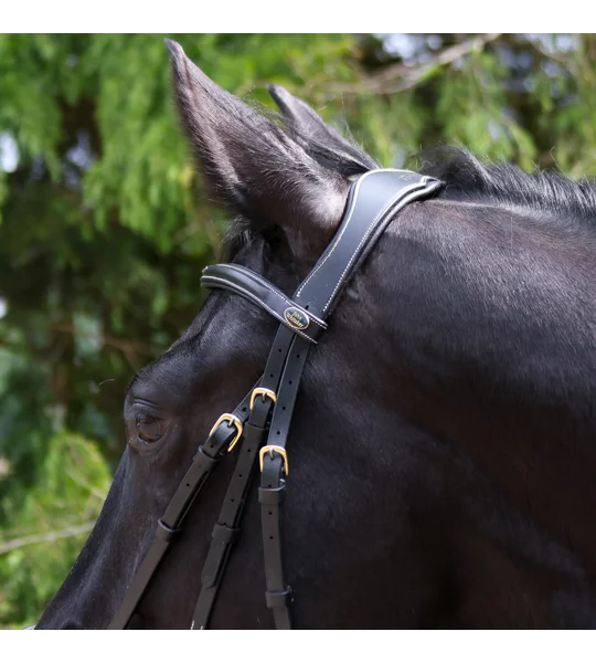 Whitaker BR102 Rome Drop Nose Bridle with Reins Black