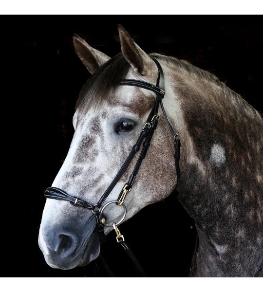 Whitaker BR102 Rome Drop Nose Bridle with Reins Black