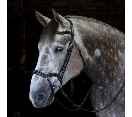 Whitaker BR103 Stockholm Anatomic Bridle Black