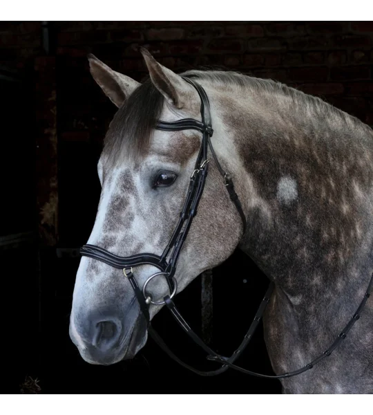 Whitaker BR103 Stockholm Anatomic Bridle Black