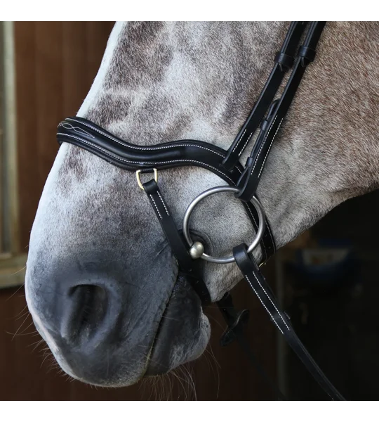 Whitaker BR103 Stockholm Anatomic Bridle Black