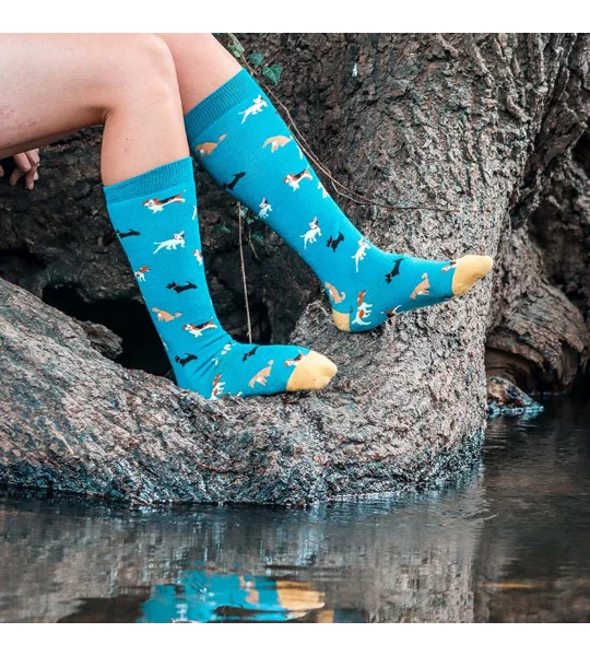 Bartleby Funky Welly Socks Ladies Doggy Diva - Size 4 - 8