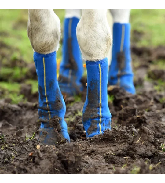 Equilibrium Equi-Chaps Close Contact Chaps Navy