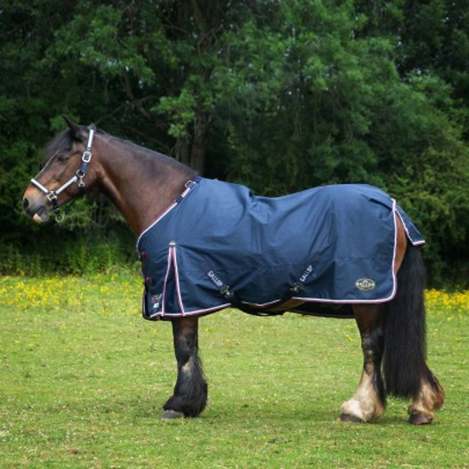 Additional Image for Gallop Trojan Duraproof 50g 5-Point Standard Neck Turnout Navy
