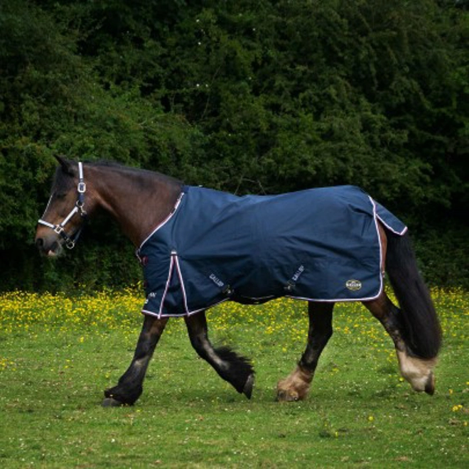 Additional Image for Gallop Trojan Duraproof 50g 5-Point Standard Neck Turnout Navy