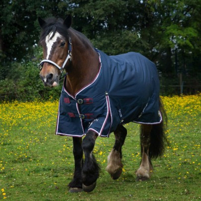 Additional Image for Gallop Trojan Duraproof 50g 5-Point Standard Neck Turnout Navy