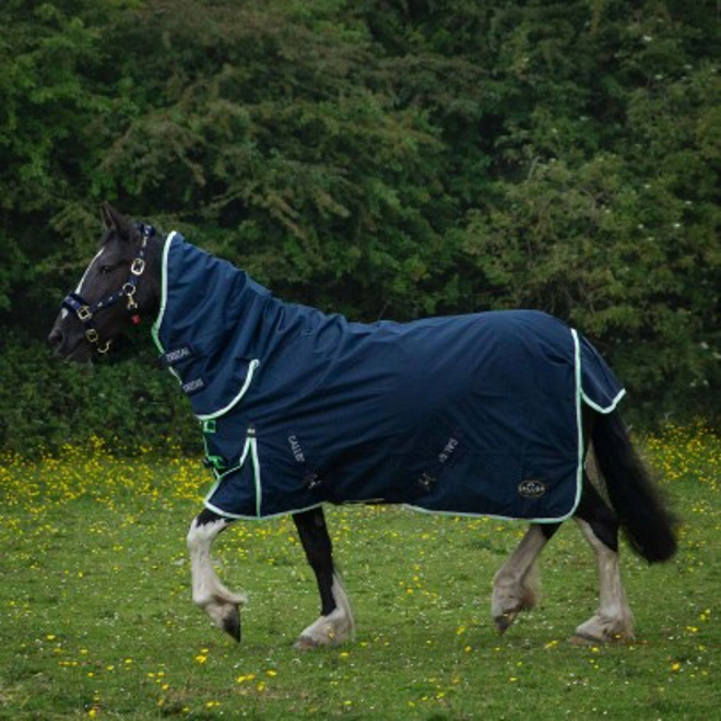 Additional Image for Gallop Trojan Duraproof Lightweight Turnout Combo Navy