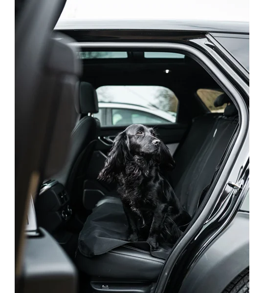 Danish Design Car Seat Cover