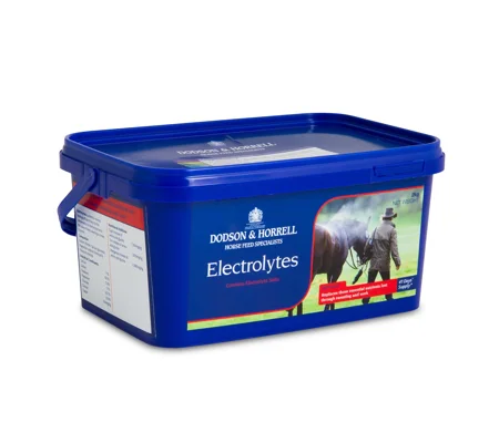 D&H Electrolytes 2 Kg