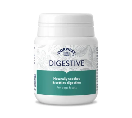 Dorwest Herbs Digestive - 100 Tablets