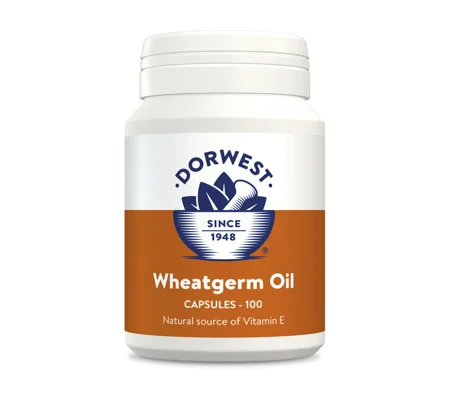 Dorwest Herbs Wheatgerm Oil for Dogs & Cats - 100 Capsules