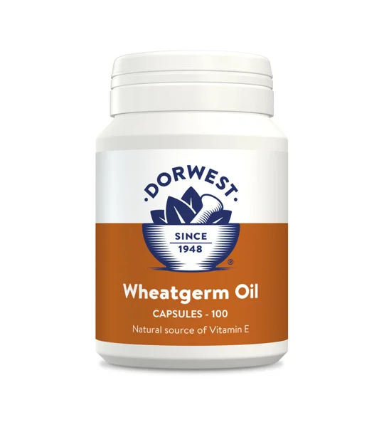 Dorwest Herbs Wheatgerm Oil for Dogs & Cats - 100 Capsules