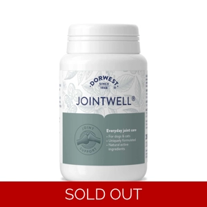 Dorwest Herbs JointWell - 200 Tablets