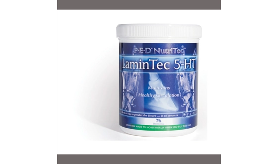 Category Image for Laminitis Support