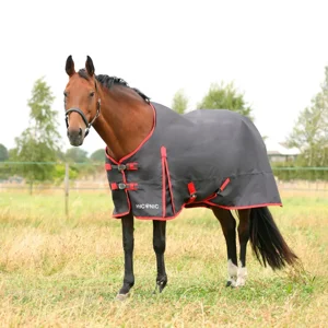 HORSE RUGS