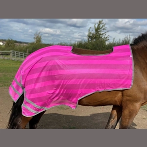 Firefoot Reflective Exercise Sheet Pink