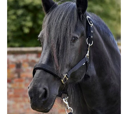 Firefoot Field Safe Adjustable Headcollar Reflective Black/Silver