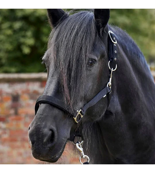Firefoot Field Safe Adjustable Headcollar Reflective Black/Silver