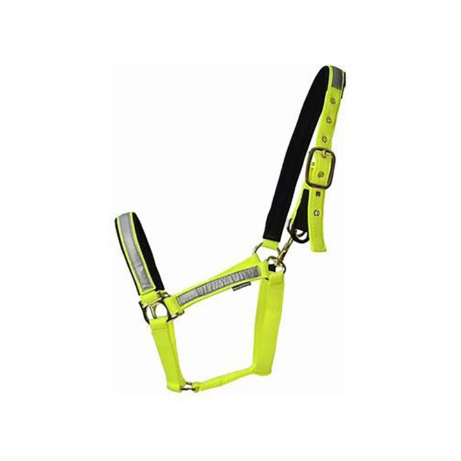 product Image for Firefoot Field Safe Adjustable Headcollar Fluorescent Yellow