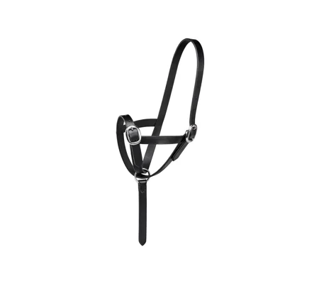 Firefoot Foal Slip Leather Black