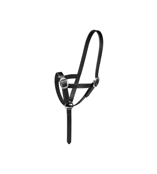 Firefoot Foal Slip Leather Black