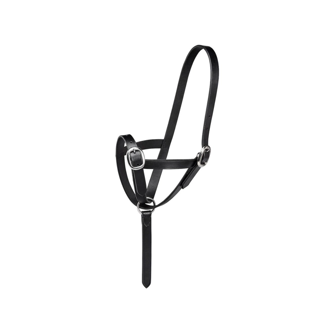 product Image for Firefoot Foal Slip Leather Black