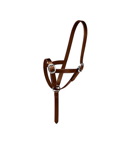 Firefoot Foal Slip Leather Brown